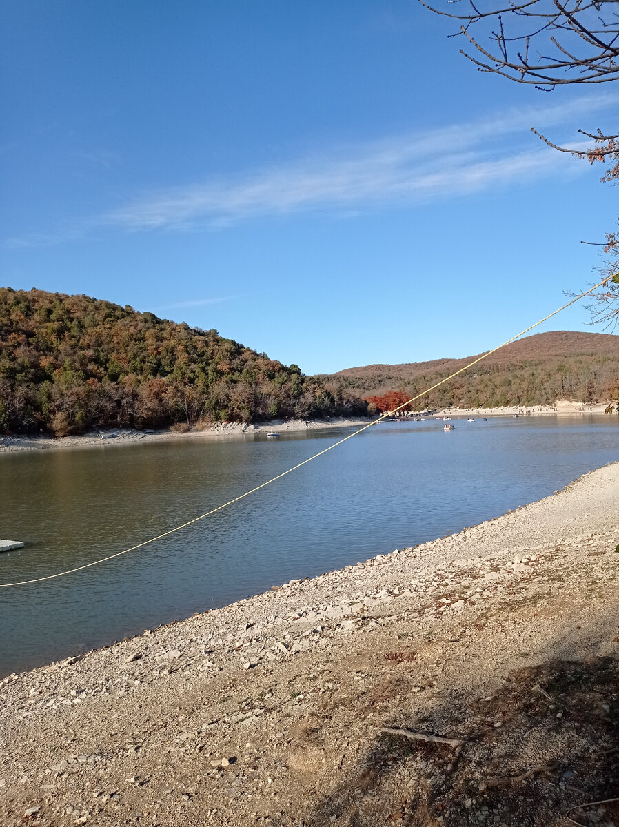 Багряные кипарисы прямо по горизонту