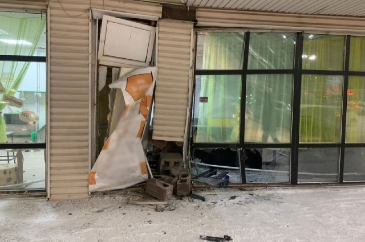    Полиция ищет очевидцев после наезда неизвестного авто в зверокафе в Томске