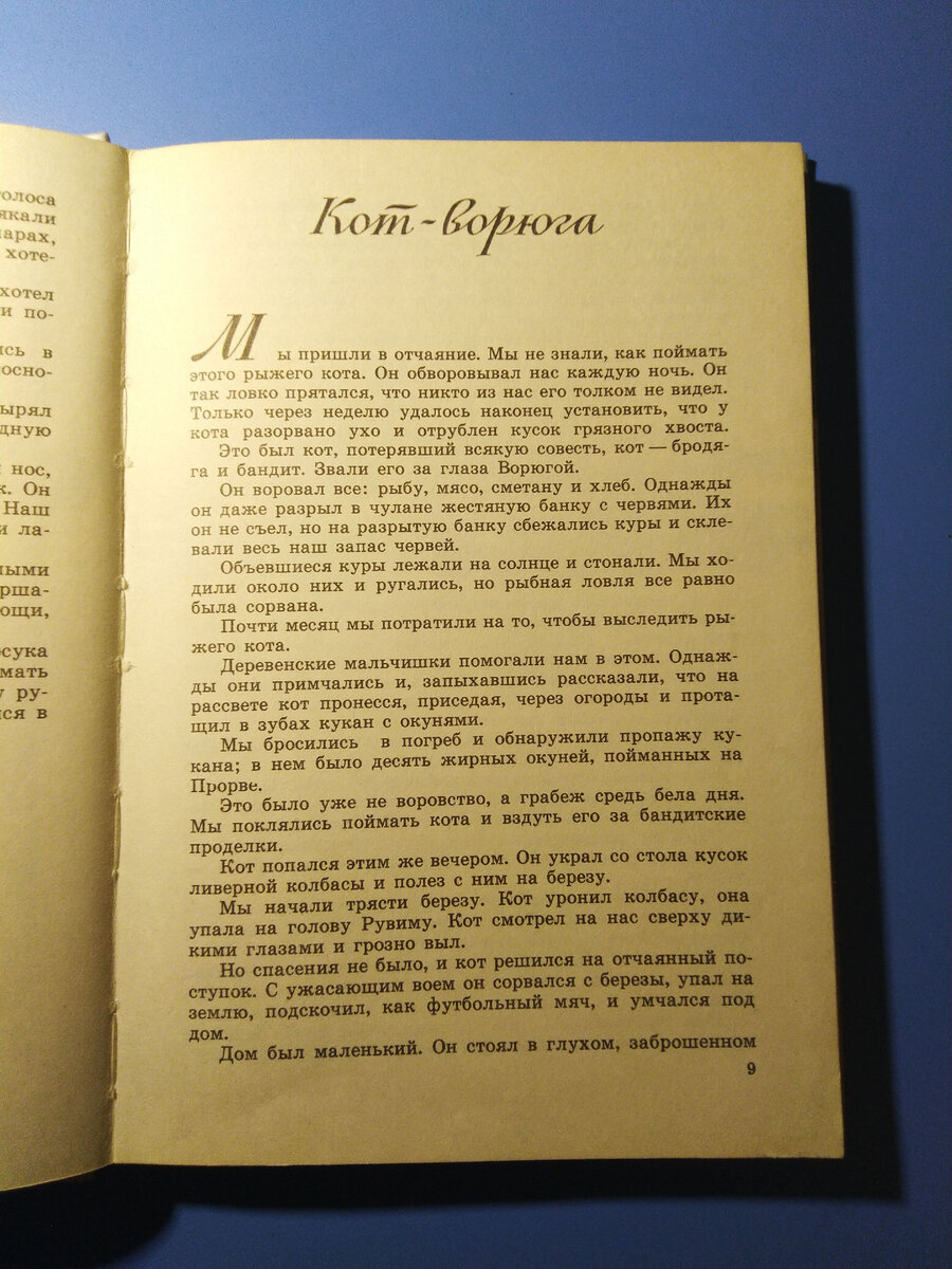 Константин Паустовский - человек, проживший жизнь по совести | Наталья  Почуева 