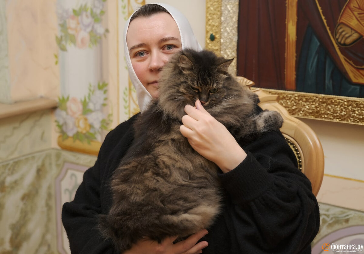     Игуменья София с питомицей Лушей. Котенком её вытащили худым, облезлым из какой-то щели на Валааме. Настоятельница увезла её в Петербург, назвав Валушей (валаамская послушница). Котенок превратился в роскошную, пушистую голубоглазую сибирскую кошку.    
 Фото: Анжела Мнацаканян/«Фонтанка.ру»