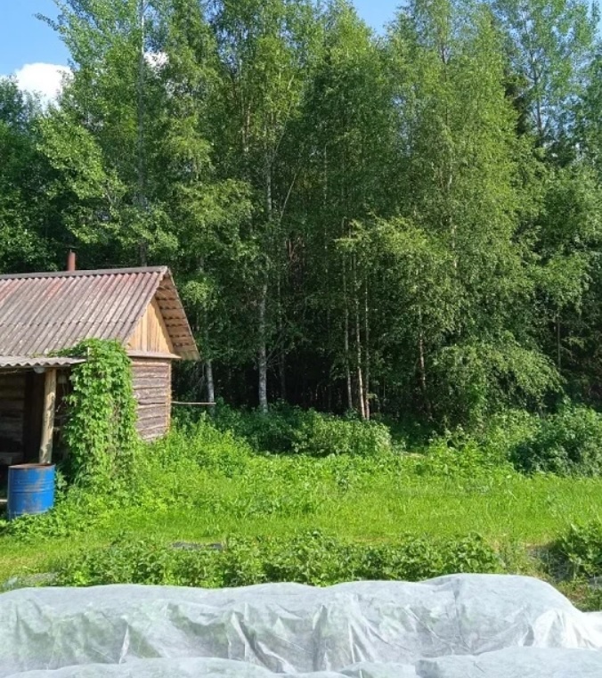 Та самая моя баня.