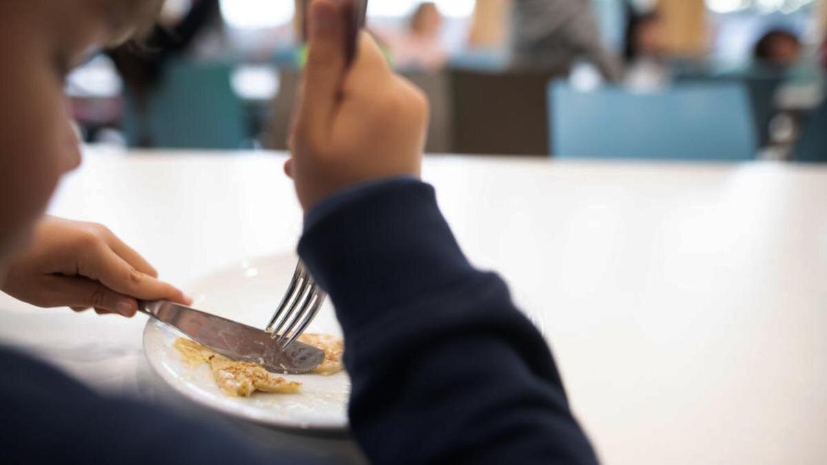    Ребенок обедает в школьной столовой:Sebastian Gollnow / Picture Alliance / Getty Images