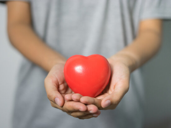     ФОТО: pxhere.com