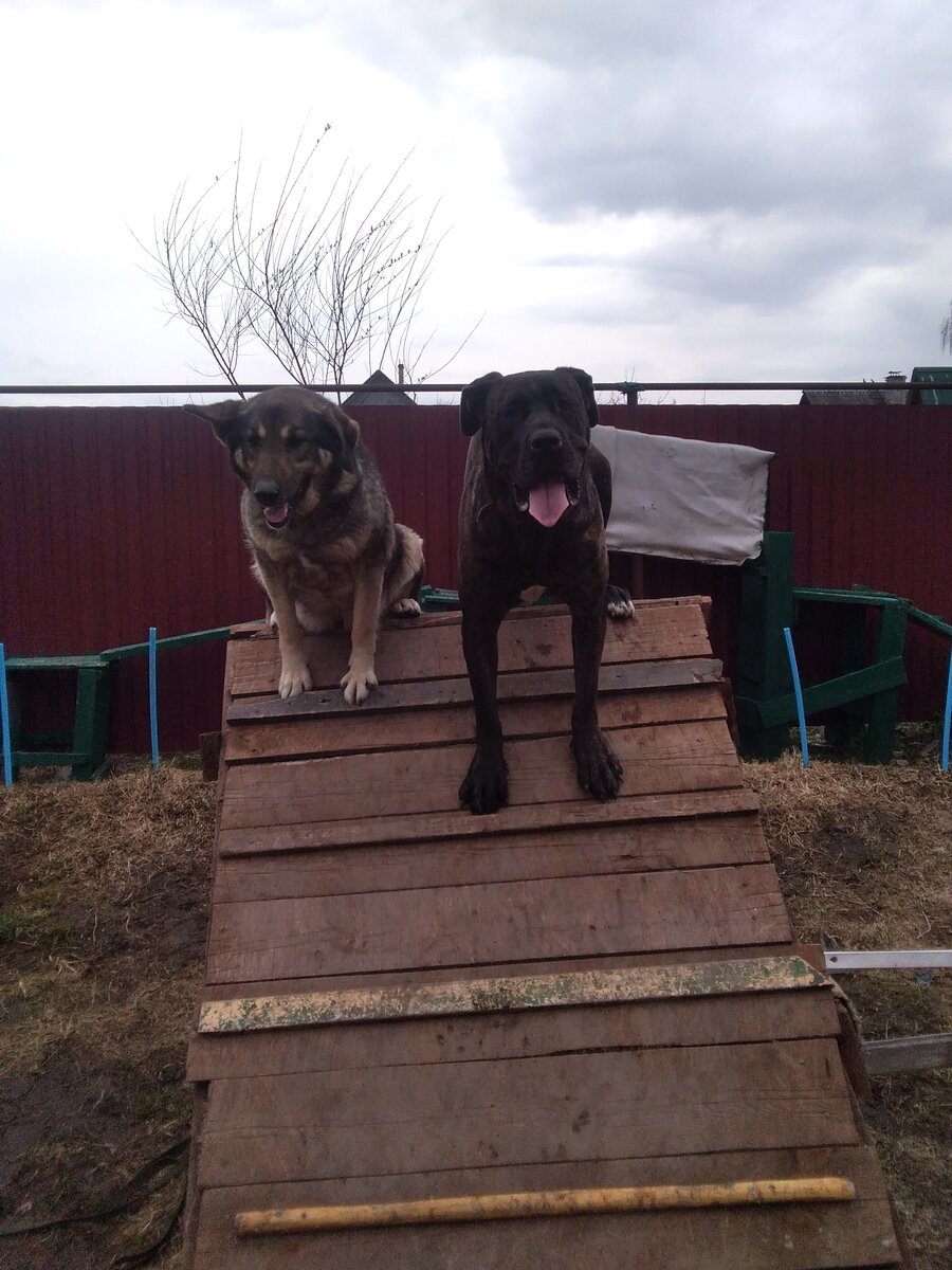 Фото автора. 