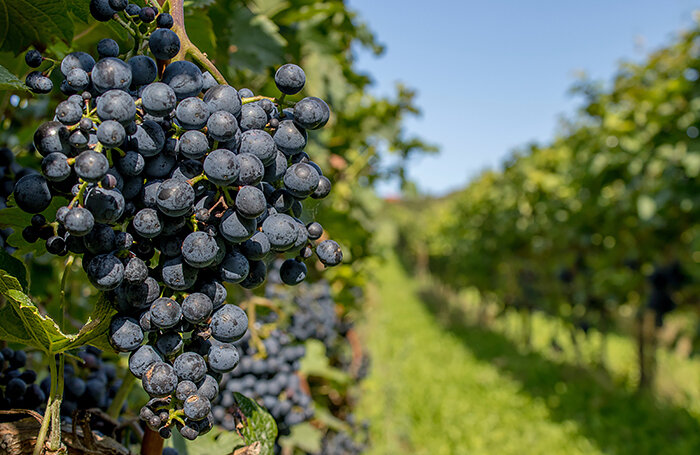    Rudolf-Peter Bakker/Unsplash