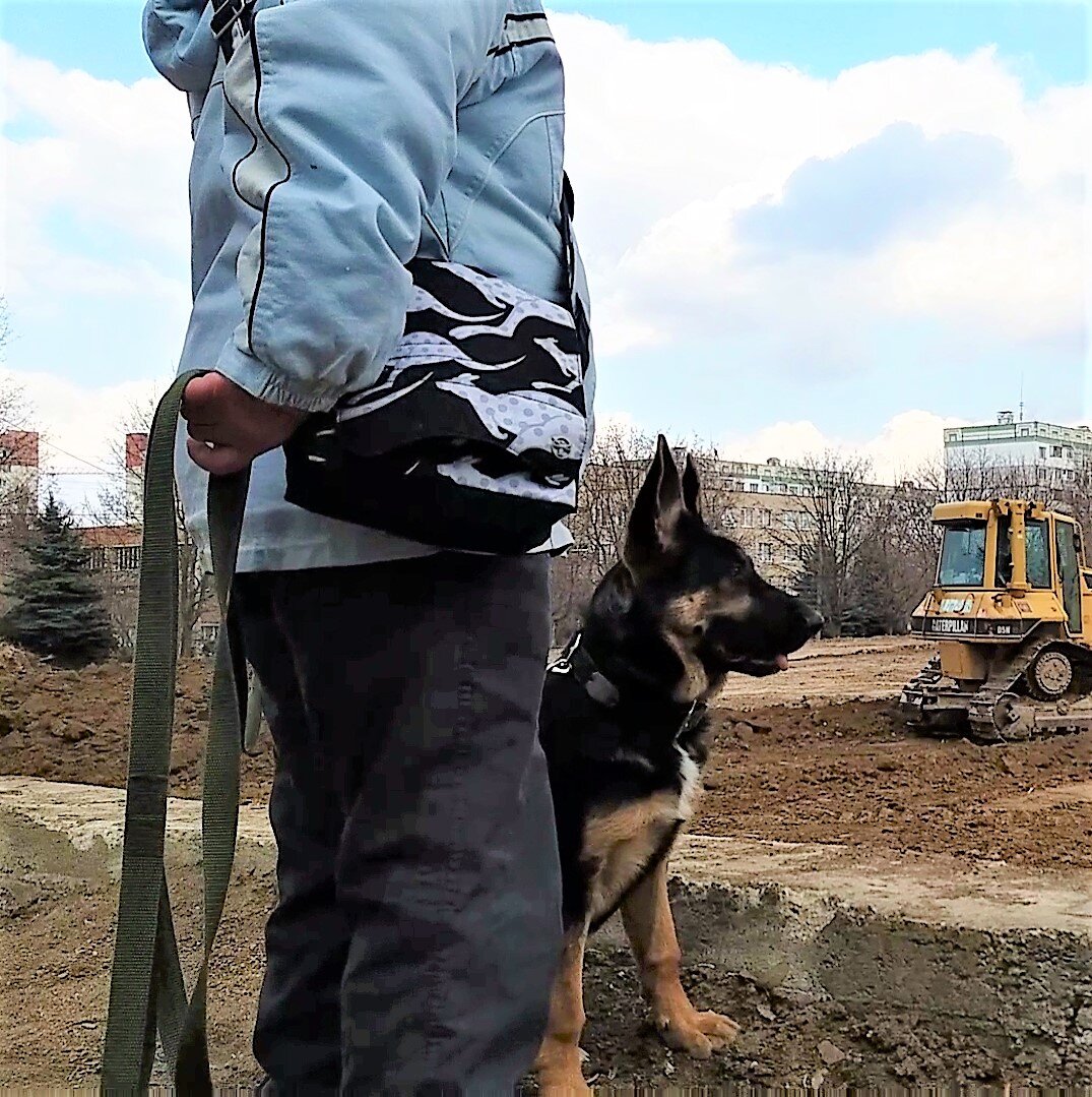 Мы смотрим на стройку