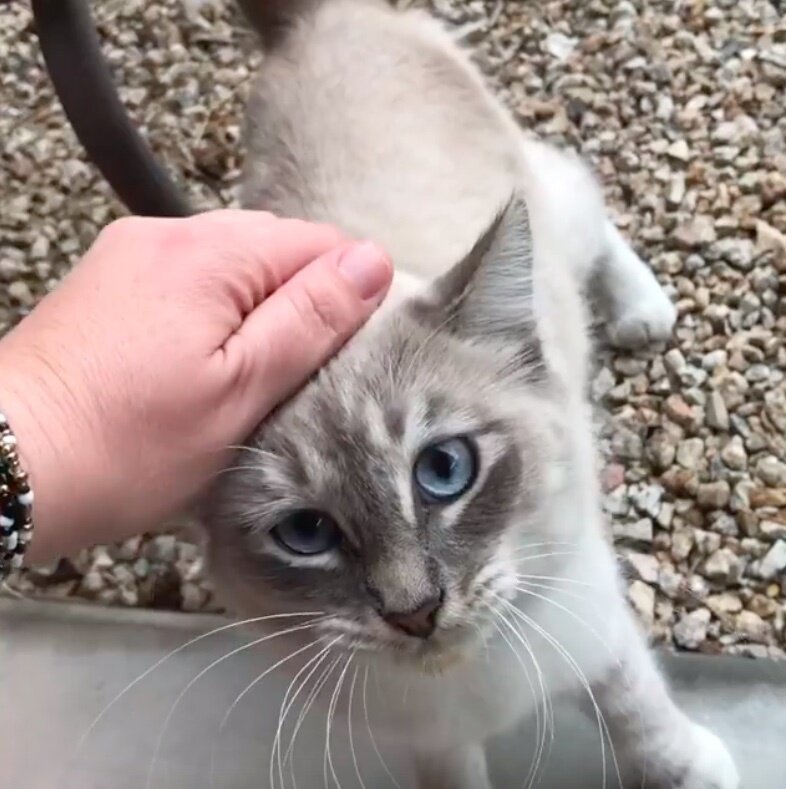 Фото: Kara Yancey