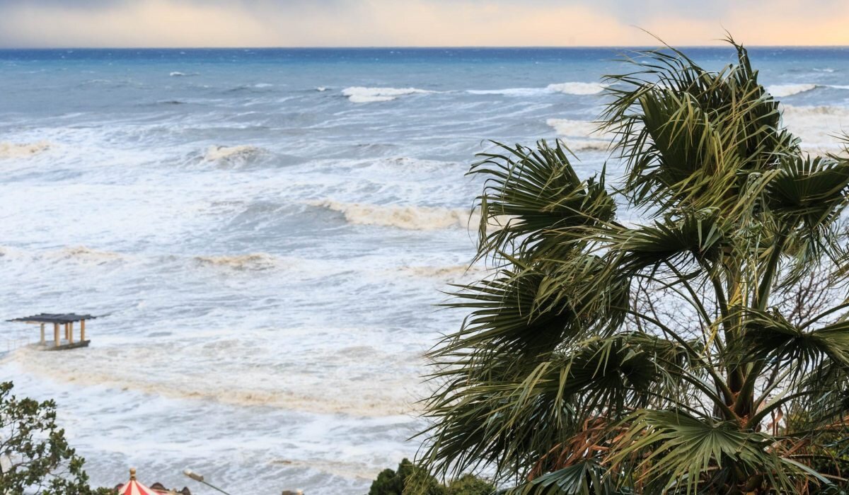 фото www.sochi-express.ru