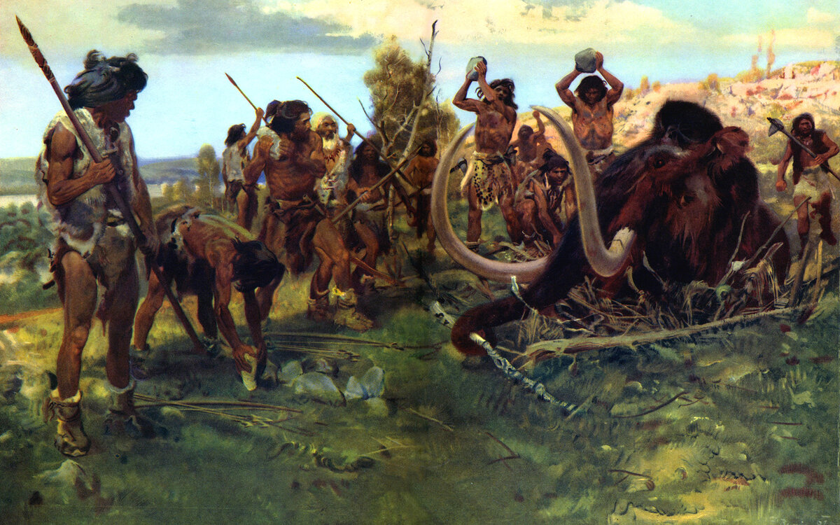 фото из поиска яндекс