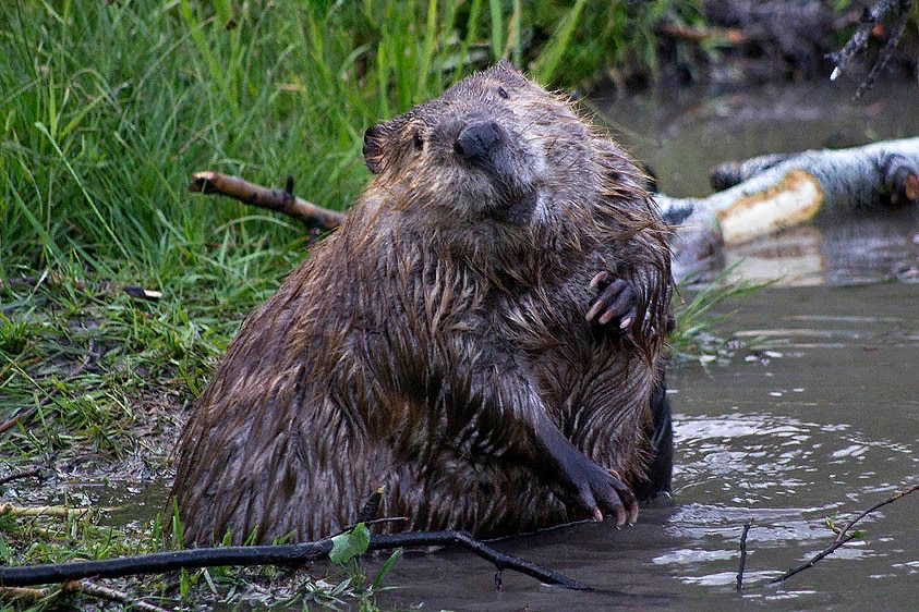 Этот революционер взял штурмом моё сердечко. Что дальше?  