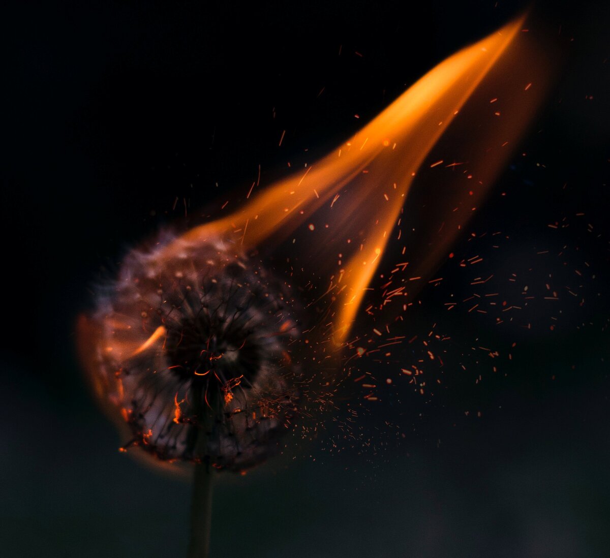 Фото Генри Бе на Unsplash