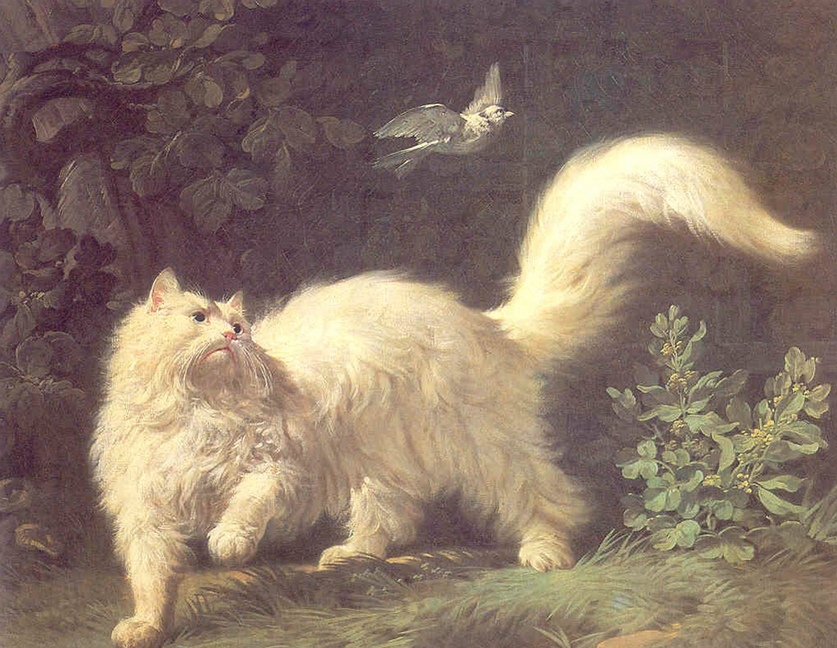Жан-Жак Башелье "Ангорская кошка и птичка" 1761 г.
