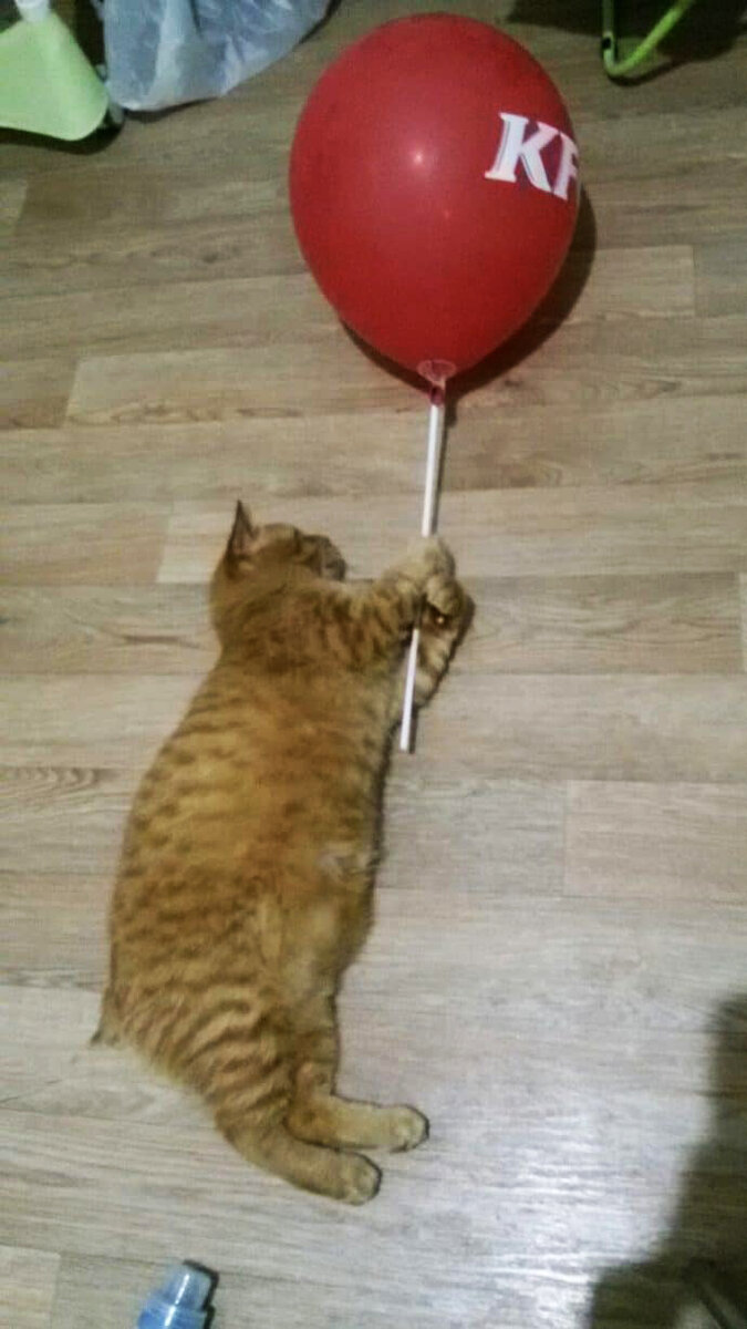 летит :-)