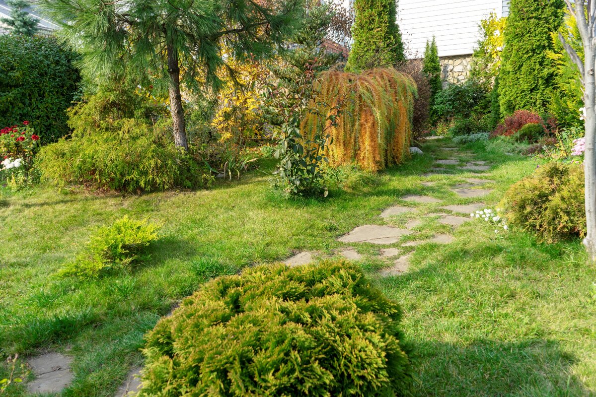 Вот и осень...