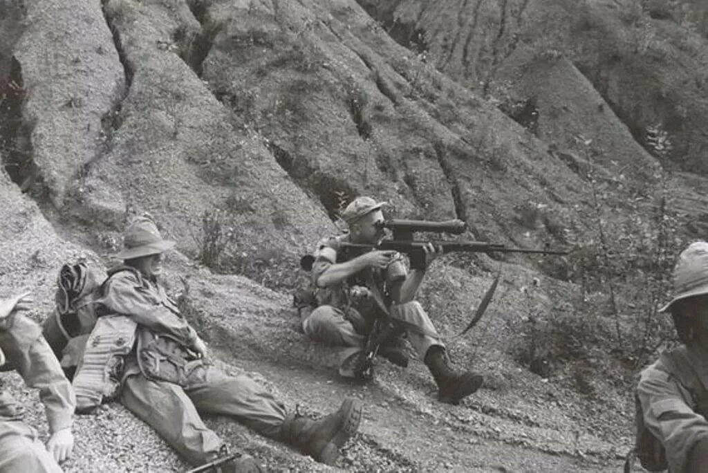 фото из простора интернета