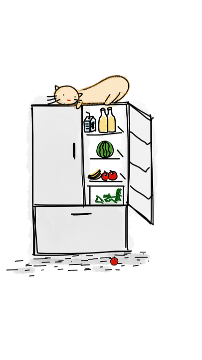 https://cdn.pixabay.com/photo/2017/03/27/05/30/cat-2177429_960_720.png