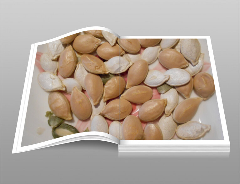 Семена тыкв разных сортов из моего огорода