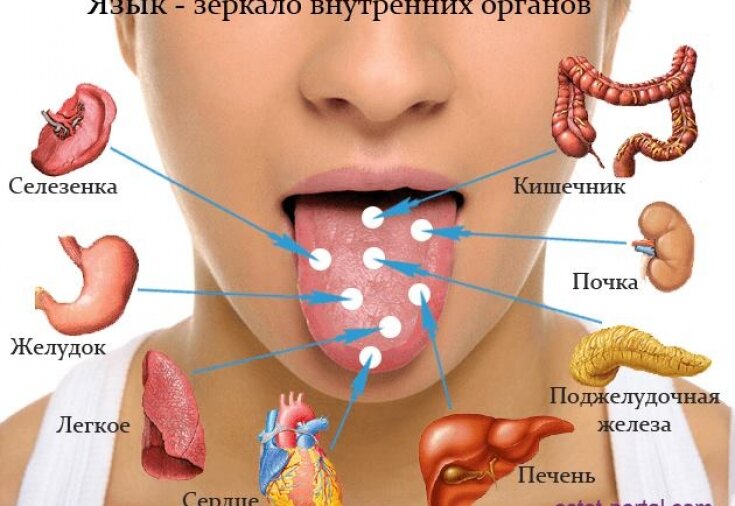 Диагностика болезней по языку: как выявить недуг | ESTET-PORTAL | Дзен