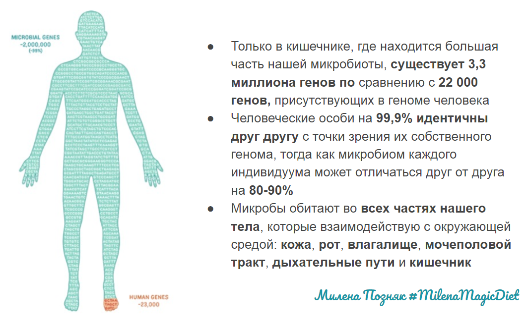 Количество выделяемых причин спортивной болезни