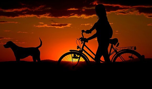https://pixabay.com/photos/woman-girl-bike-sunset-walk-2711279/