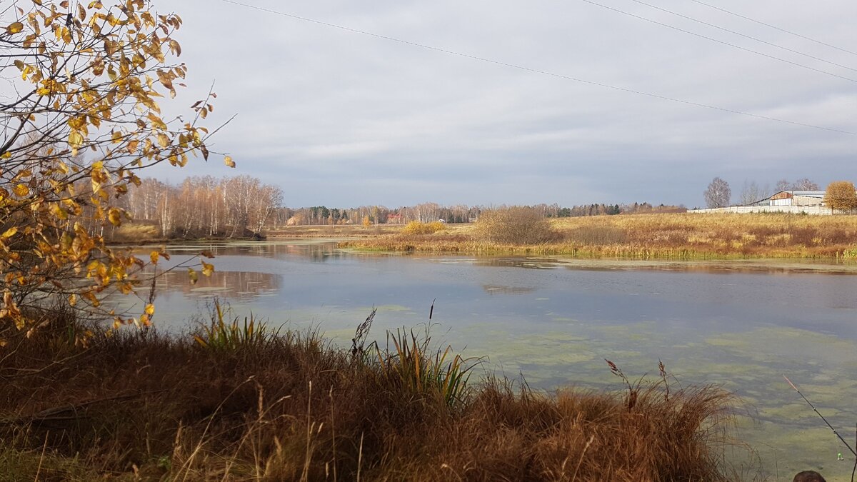 Природа это лучший способ расслабиться