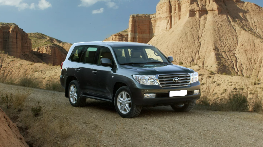 Фото взято из открытого источника (Сайт Яндекс Картинки)