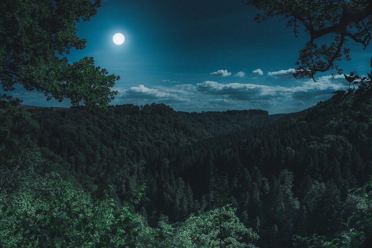 https://cdn.pixabay.com/photo/2018/03/02/19/21/nature-3194001_1280.jpg
