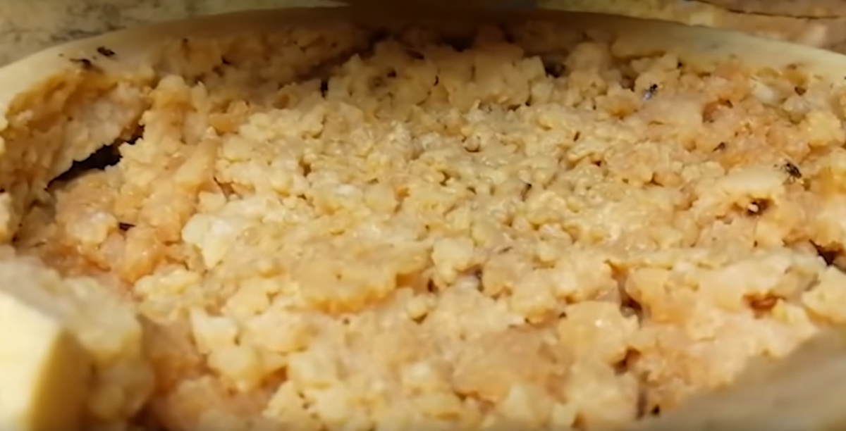                                                                          Сыр Касу Марцу