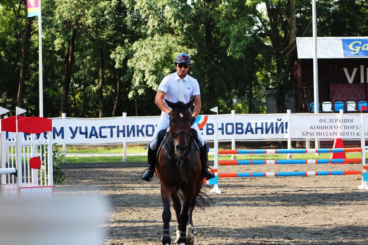 Краснодарский край спортивные. Кубок губернатора Краснодарского по конкуру. Конный спорт в Динской. Конный спорт посёлок Южный Краснодар. Район КСК Краснодар.