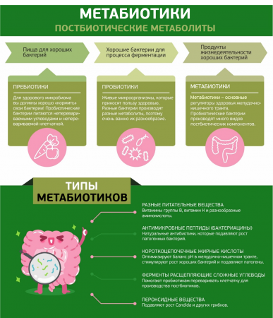 Метабиотики — или постбиотические метаболиты — это биохимические соединения, созданные полезными бактериями для защиты и восстановления нашего организма. Примечательно, что наши естественные кишечные бактерии имеют решающее значение для производства тысяч этих соединений, которые затем контролируют многие жизненно важные функции нашего организма.