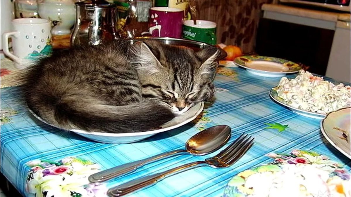 А как Вам такое Оливье?:) (фото из открытых источников)