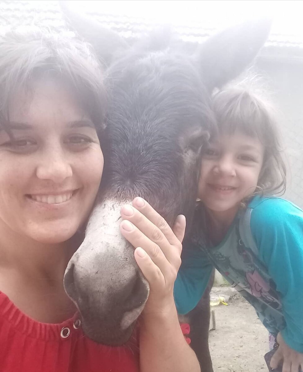 Фото из свободного доступа в интернете. 