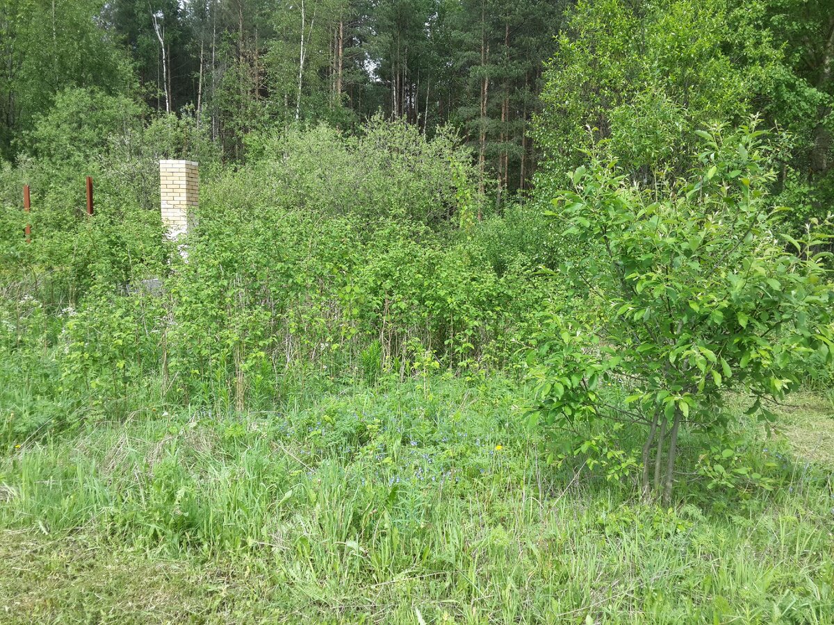 Фото: УСАДЬБУШКА