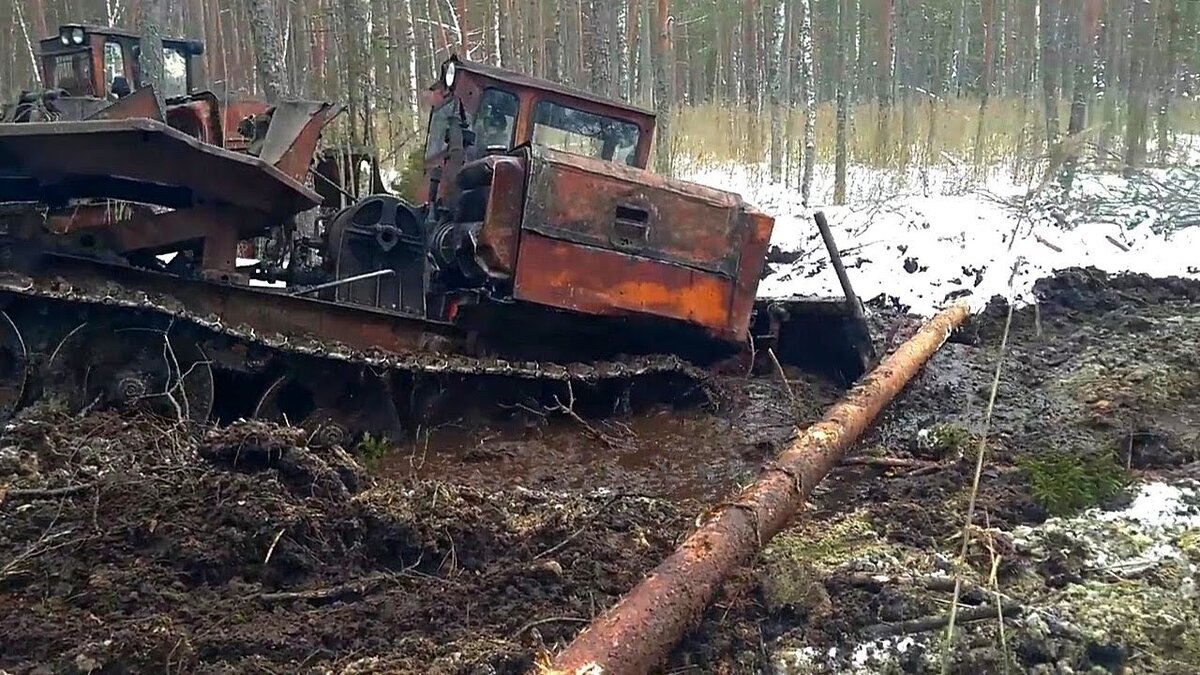Фото из Яндекс Картинок