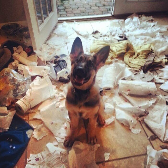 Фото с яндекс. Картинки. 