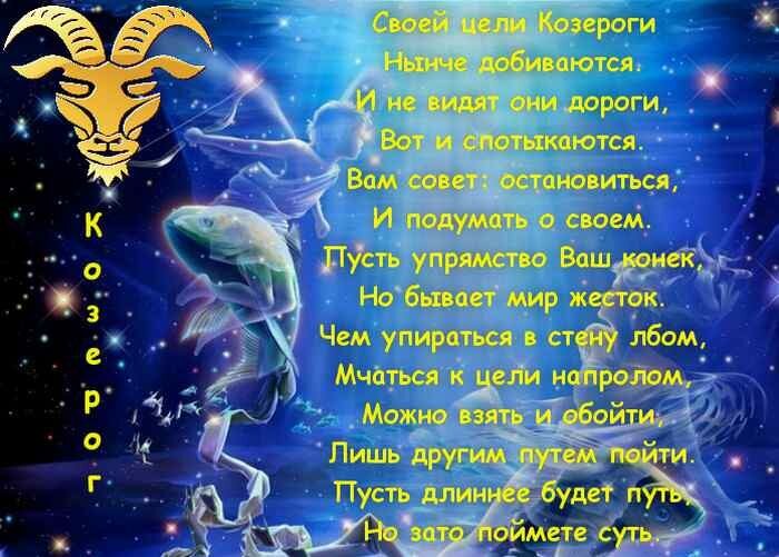 фото из Яндекс картинки