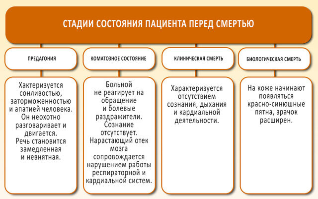 Метастазы в печени - Меднавигатор