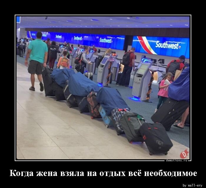 Давай, дорогой, вперед! 