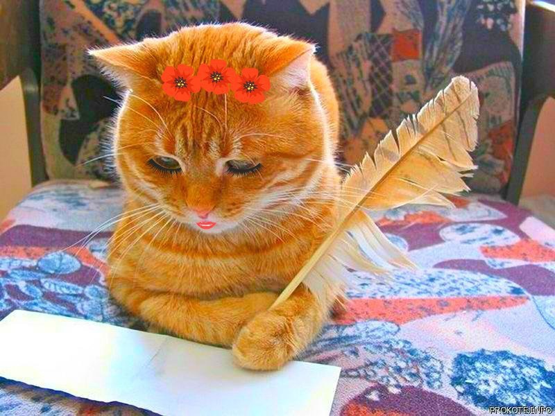 Добрый  вечер  всем!  Меня  зовут  Вероника и я наконец -то созрела  для  Дзена. Сама  часто подвисаю  на сайте ,читая  всё  обо всем. Долго решалась  на регистрацию и вот,с легкого  пинка  моей  дочери, я здесь.Писать  я люблю  со школьных  ввремен, одно  время  даже  вела  дневник, где  делилась  наболевшем.Игра  в одни  ворота, скоро  наскучила, хотелось  не  просто  изливать  душу  бумаге, но  и получать  ответы  на  вопросы, общаться  и делиться  опытом.Хорошо  ,что  такая  возможность  появилась  вместе  с Дзеном.Решиться  то я решилась  , но  разбираться пришлось  долго :то картинка  не грузилась, то  заголовок  исчезал.Поэтому  не  обесудьте  если  что то  не так.Я  обязательно  научусь. А как  вы дошли  до дзена?Делитесь.