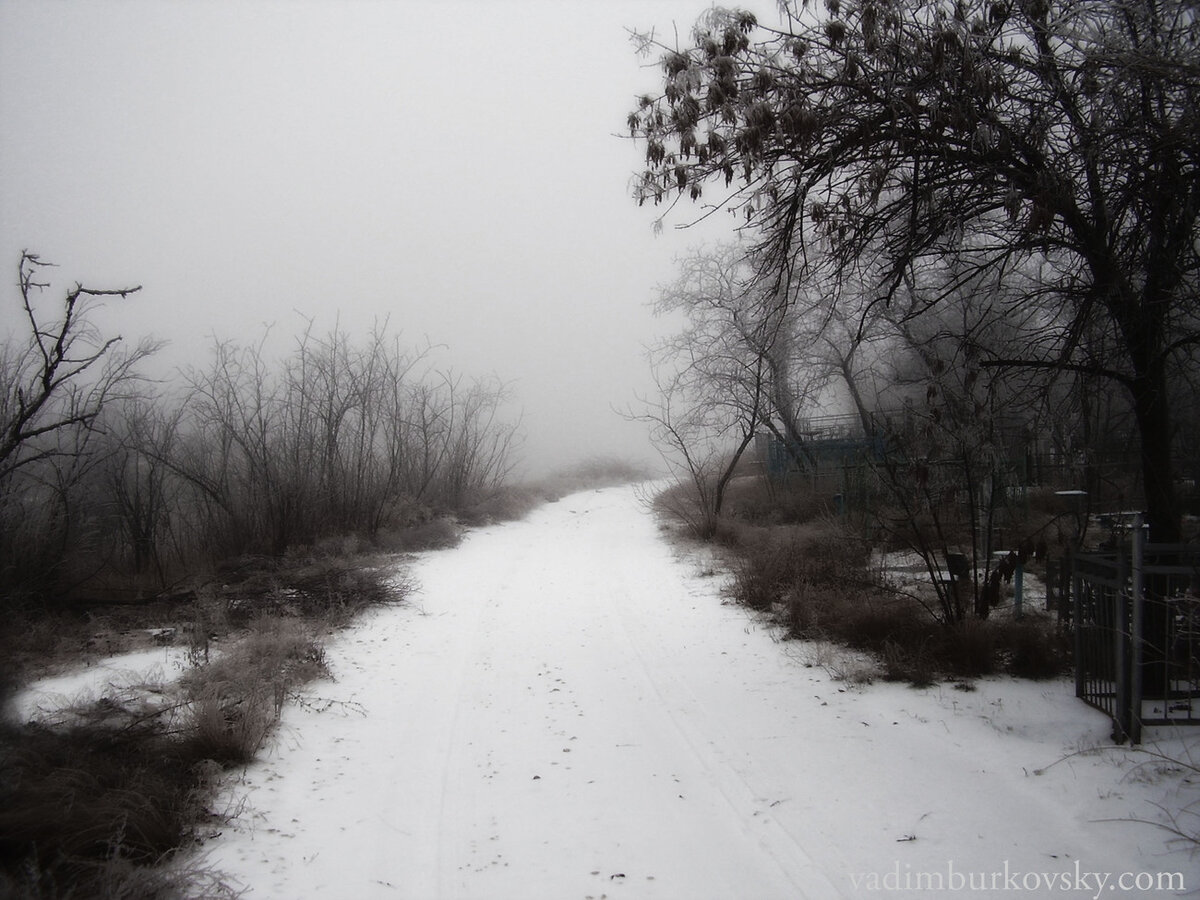 Фото с бесплатного сайта