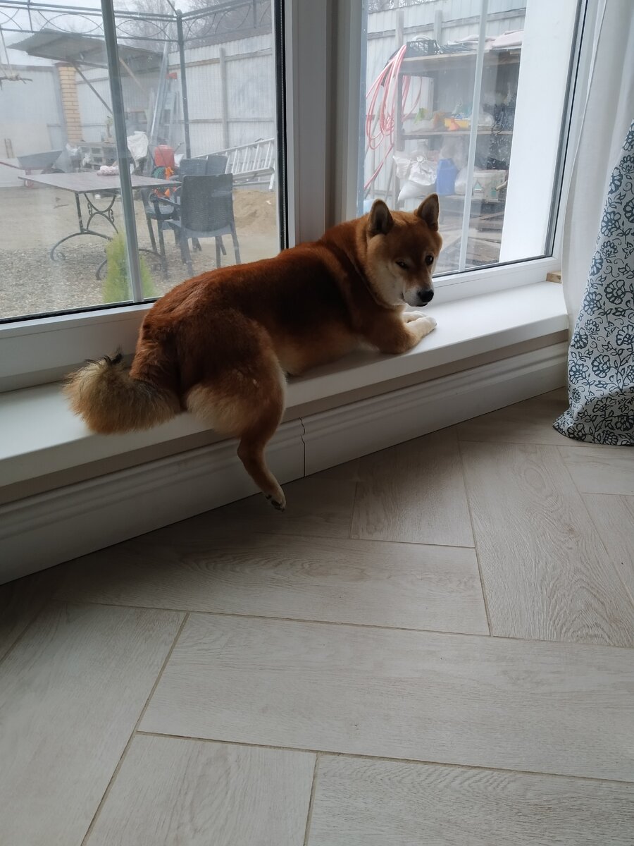 До скорого...