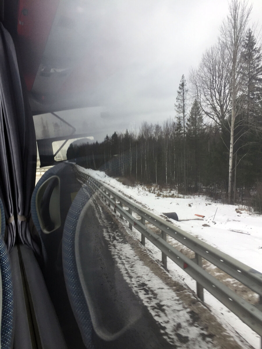 Вид из окна автобуса по дороге в Санкт-Петербург