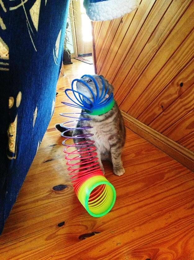 Взято с сайта https://bigpicture.ru/?p=527019