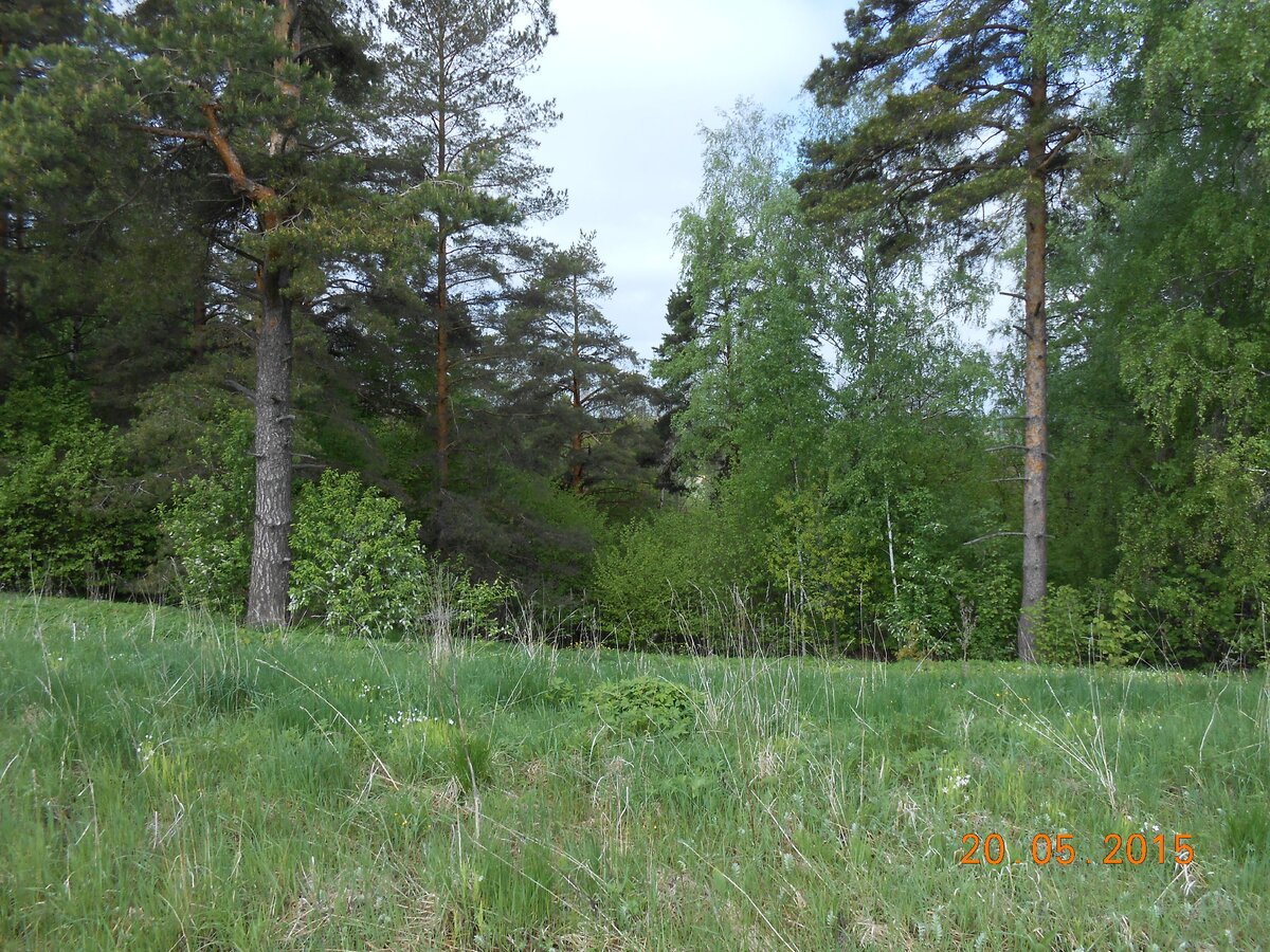 фото из личного архива автора