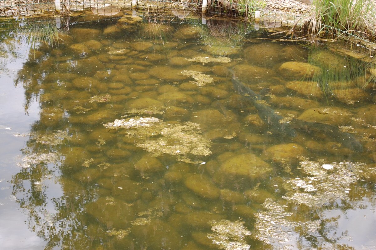 И вои результат