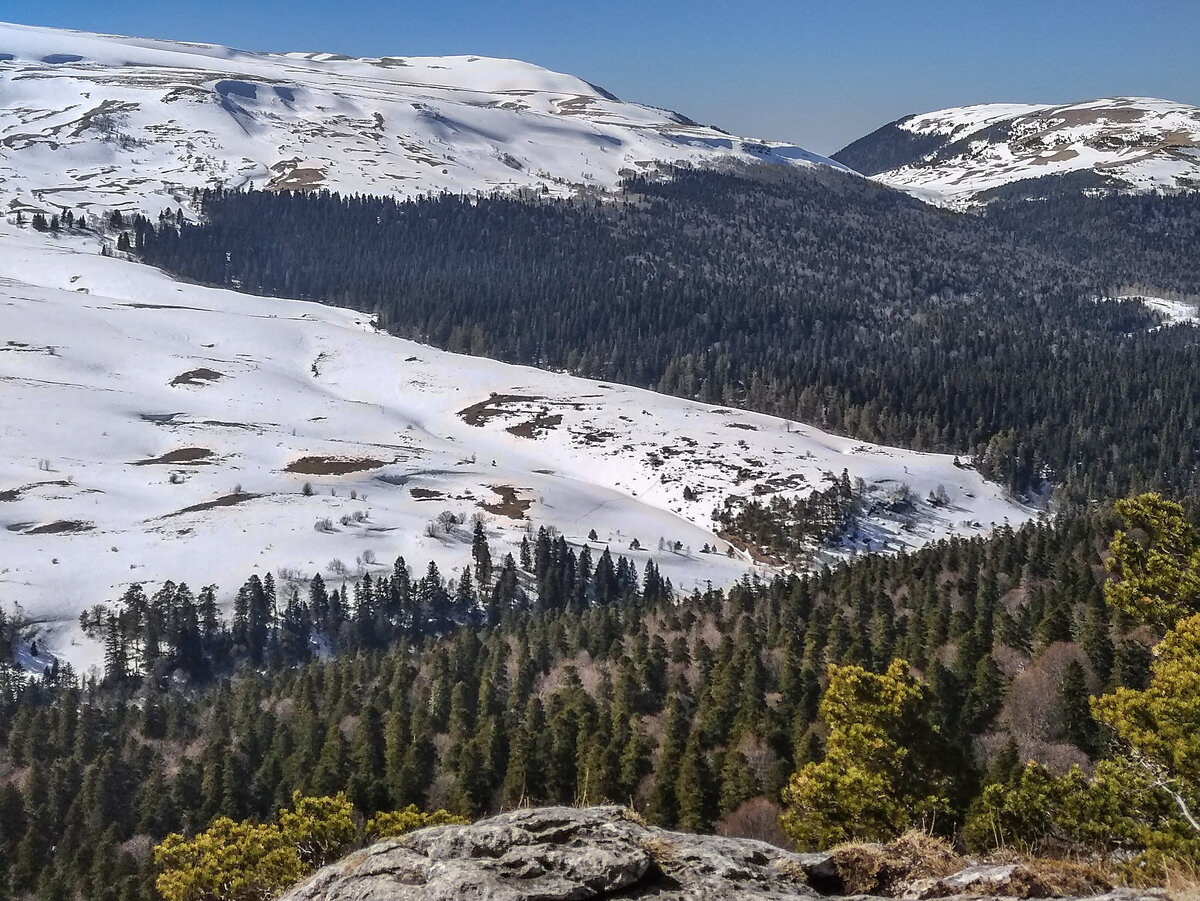 Лагонаки фото апрель