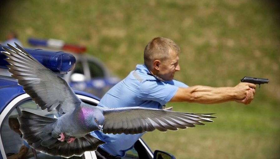 Авторский коллаж