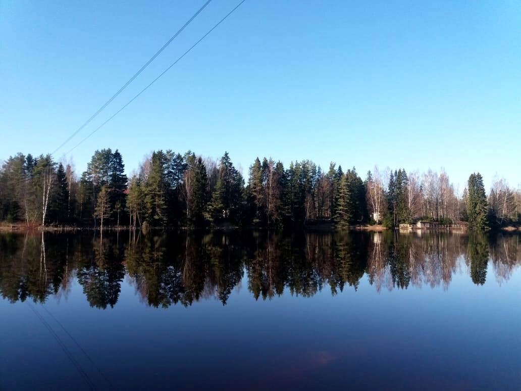 Вырица река оредеж фото