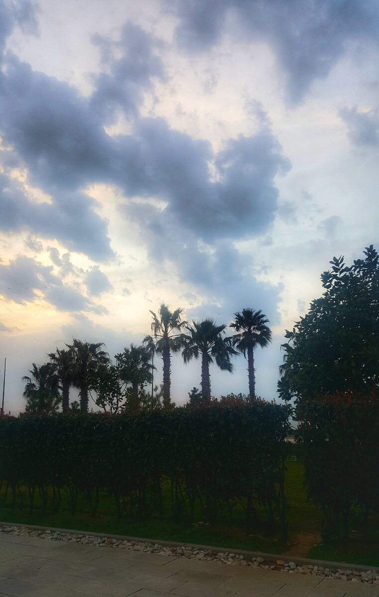 Фото из личного архива