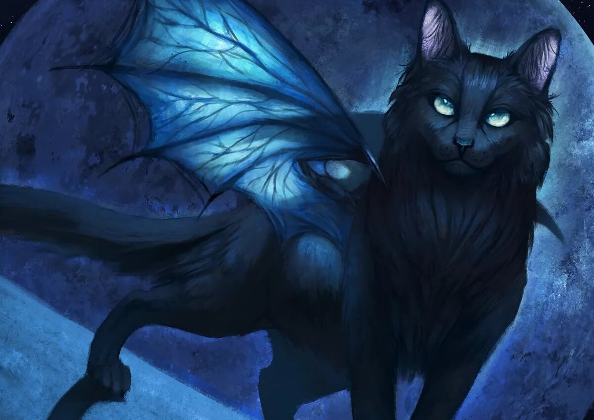 Так крылатые коты выглядят в фантазиях  